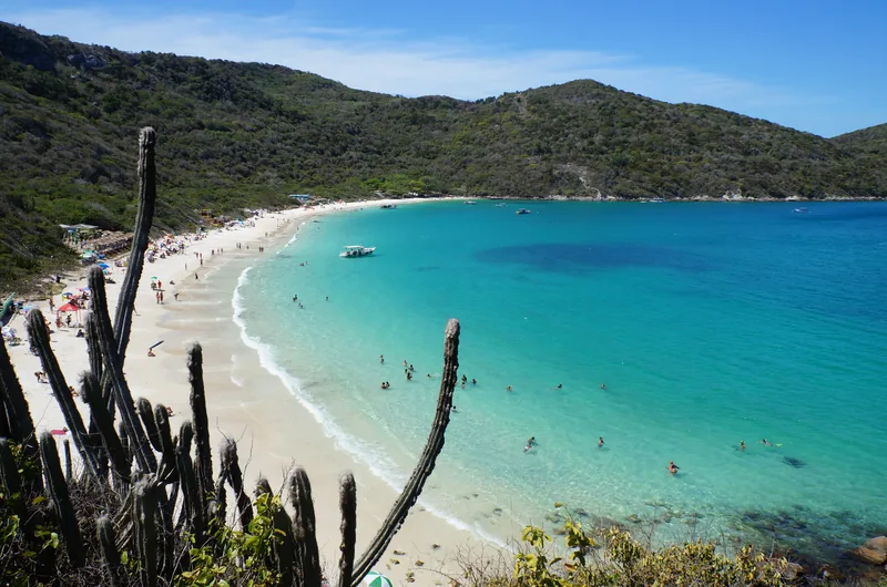 Praia do Forno com água cristalina e cactos em primeiro plano